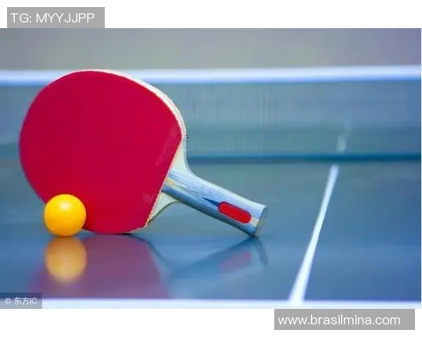 南京乒乓球队快攻战术解析与技术特点深度剖析