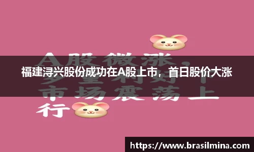 福建浔兴股份成功在A股上市，首日股价大涨