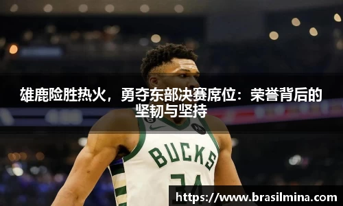 雄鹿险胜热火，勇夺东部决赛席位：荣誉背后的坚韧与坚持