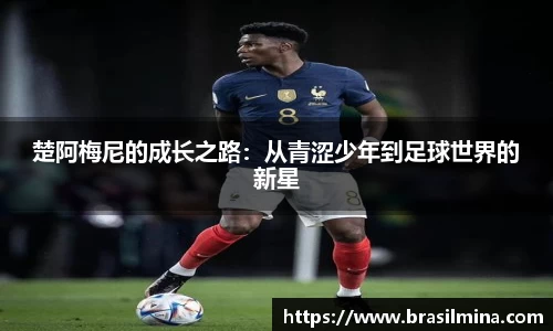 金年会官网